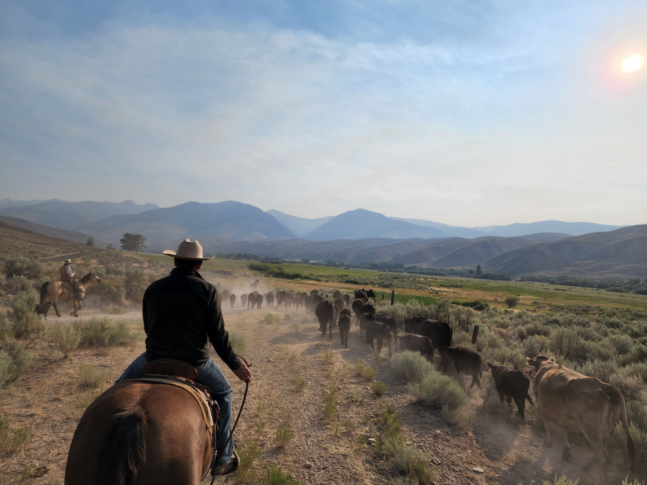 GET TO KNOW US – Flying H Ranch